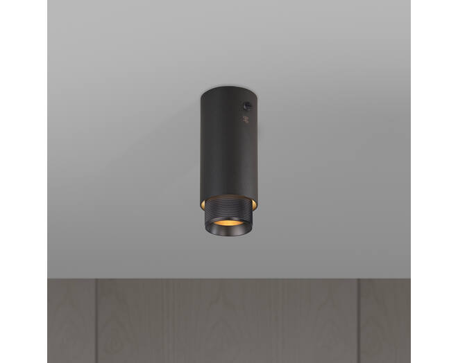 Exhaust Surface/Cross/Graphite/Smoked Bronze