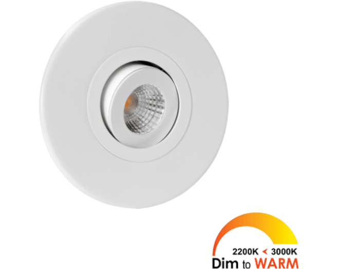 2x Monza rond wit DTW 3000K-2200K+2x verl+Driver RL dimbaar