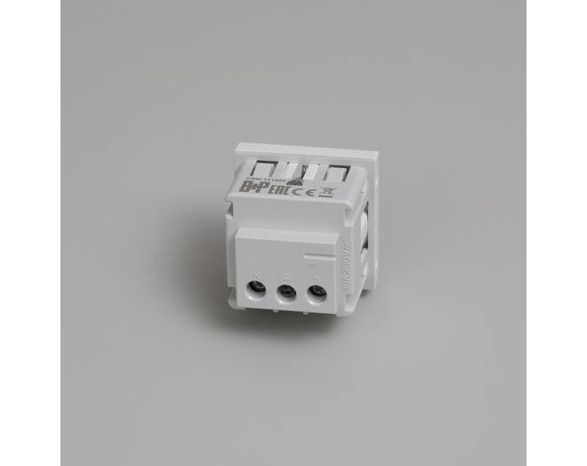 Schuko Socket Module/Type F/45Mm/White