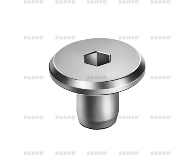Busmoer M6x20mm, kop 19mm, staal verzinkt, SW 5