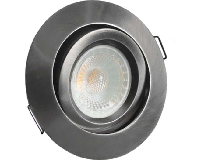 Aosta  kantelbare IP44 inb. Spot RVS look D2W + Triac driver