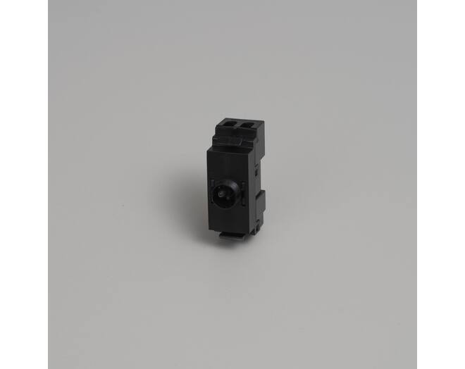 Toggle Module/2 Way