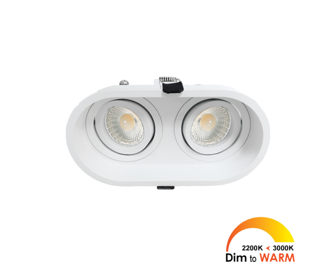 Palma Duo kantelbare inbouwspot rond wit DTW + Triac driver