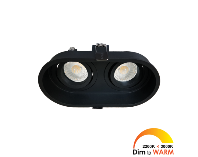 Palma Duo kantelbare inbouwspot rond zwart DTW +Triac driver