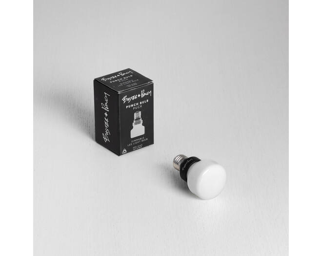 Punch Bulb Puck/E27 Dimmable/White Opaline/Glass