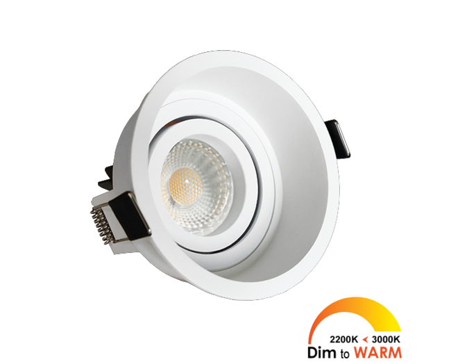 Palma Solo kantelbare inbouwspot rond wit DTW + Triac driver