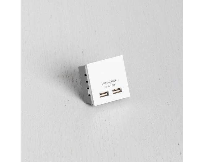 Double USB White