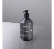 Body Wash/Wild Mint Amplifier/500Ml