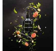 Body Wash/Wild Mint Amplifier/500Ml
