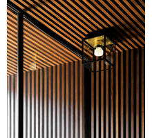 Caged Wet / Ceiling