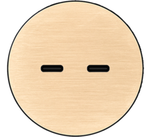 Rond 2.0 USB-C 2X (30W) - t.less - brushed brass