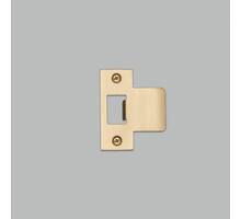 Strike Plate Kit/T Shaped/2.5 Inch Door/Brass