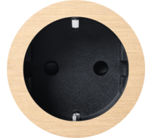 Rond 2.0 Socket F - s. trim - brushed brass - black cup