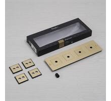 4G Wall Plate