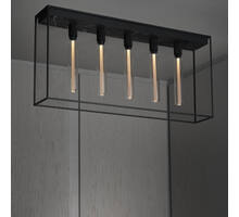 Caged Ceiling 5.0
