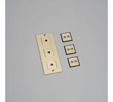 3G Wall Plate/Vertical/Brass