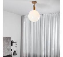 Forked Ceiling / Globe