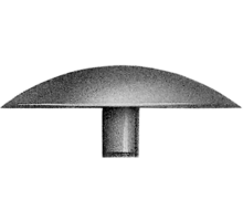 Afdekkap wit voor geboorde Spax, stift 2.4mm, kop 12mm