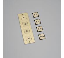 4G Wall Plate/Vertical/Brass