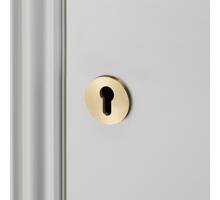 Escutcheon Plate/Euro Profile/Brass