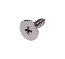 Contraplaat met schroef voor 3mm gat, kruiskop, plaat 10mm
