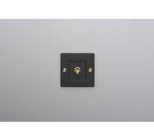 EU 1G Toggle Switch/w/out B+P Logo/Black