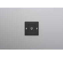 EU 1G Toggle Switch/w/out B+P Logo/Black