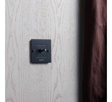 1G Toggle Switch/Black