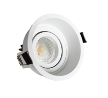Palma Solo kantelbare inbouwspot rond wit + Triac driver