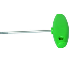 Schroevendraaier met kruisgrip Torx t20x100, groen