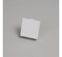 Blank Module/45Mm/White
