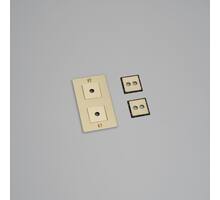 2G Wall Plate/Vertical/Brass