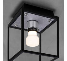 Caged Wet/Ceiling/Small/Steel