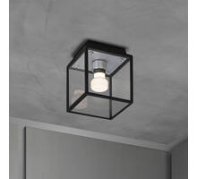 Caged Wet/Ceiling/Small/Steel