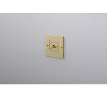 EU 1G Toggle Switch/w/out B+P Logo/Brass