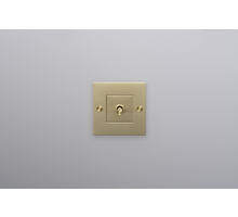 EU 1G Toggle Switch/w/out B+P Logo/Brass