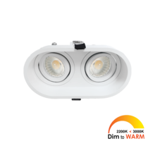 Palma Duo kantelbare inbouwspot rond wit DTW + Triac driver