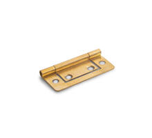 Louvredeurscharnier / 50x24 mm / staal vermessingd