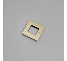 1G Wall Plate/w/out Infills/Brass