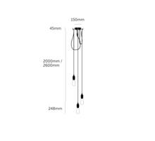 Hooked 3.0 Nude/2.6M Brass