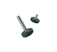 Stelvoeten 70-29/M10x40mm voetdiam. 29mm