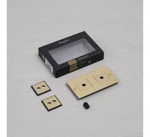 2G Wall Plate