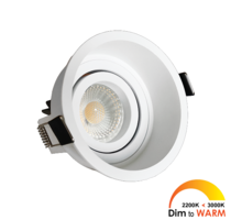 Palma Solo kantelbare inbouwspot rond wit DTW + Triac driver