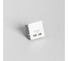 Double USB White